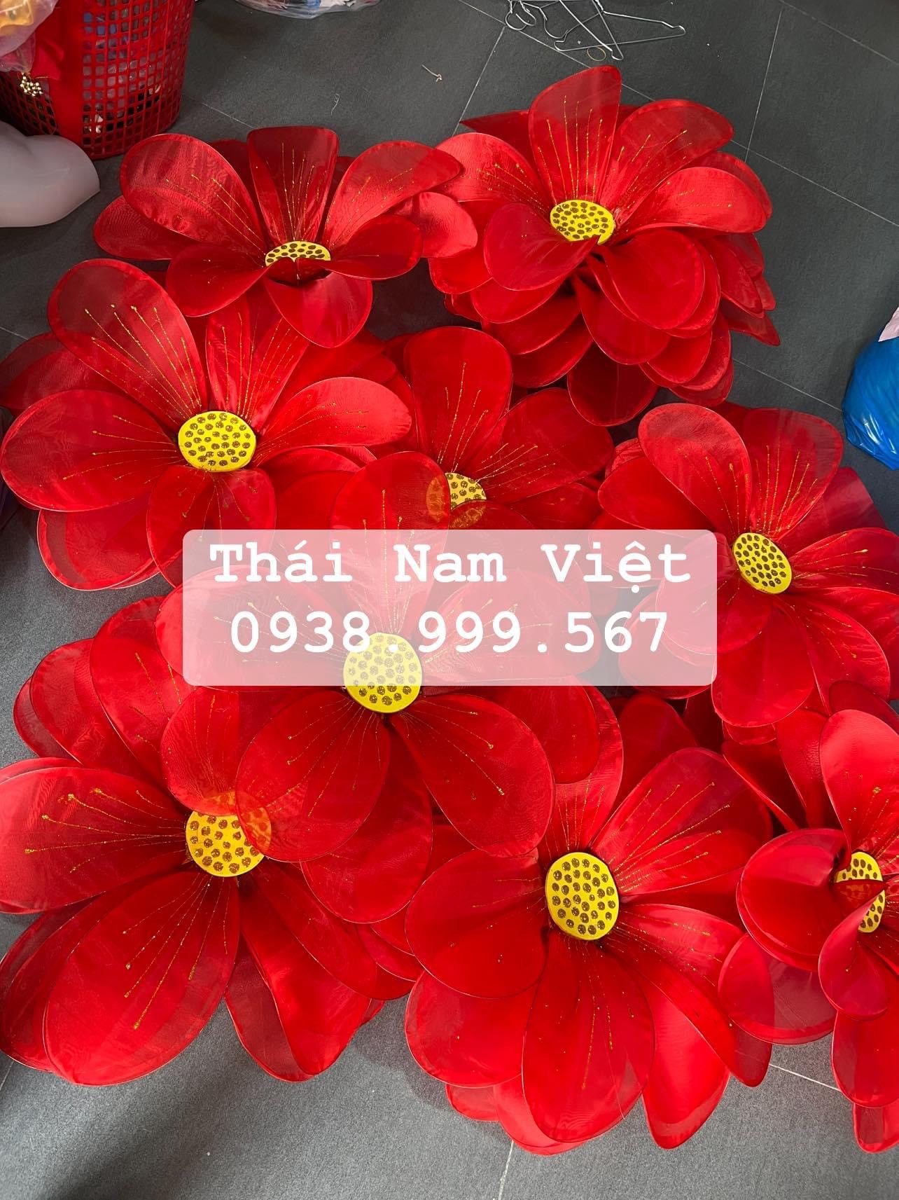 15 Bán hoa múa cầm tay sẵn đủ màu