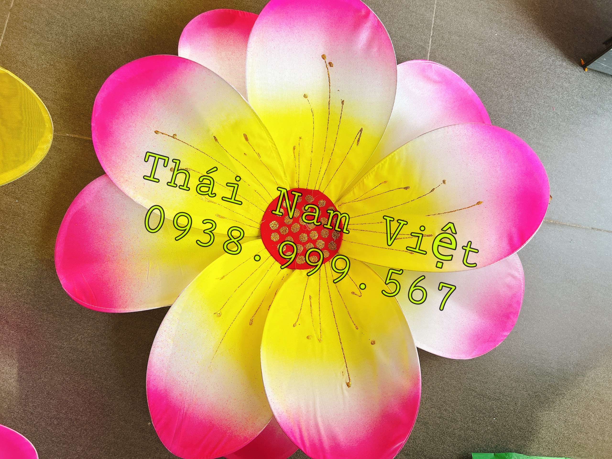 6 Bán hoa múa cầm tay sẵn đủ màu