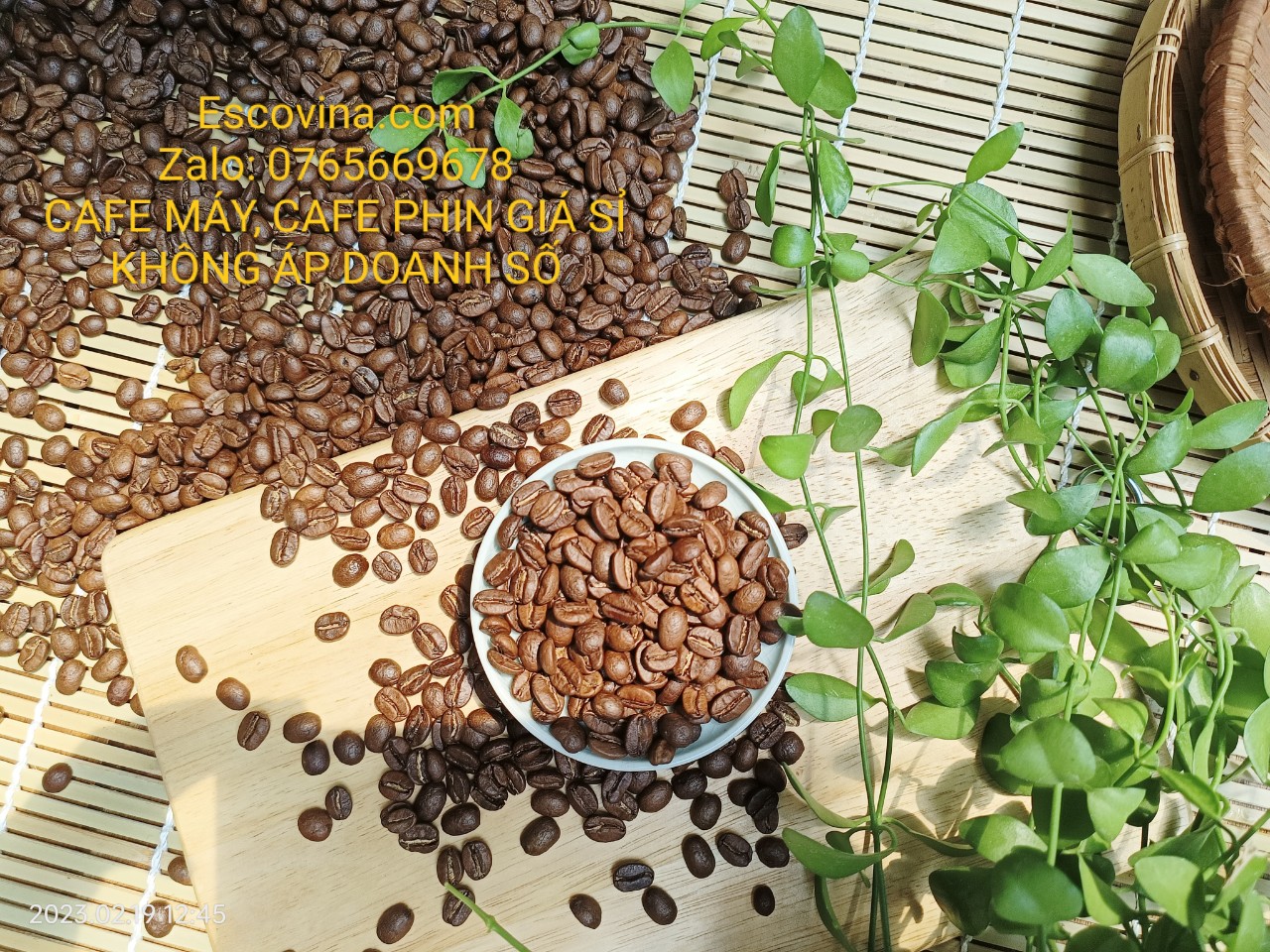 Cà phê pha máy Biên Hòa Đồng Nai, Sản phẩm loại 1 của Escovina Coffee chỉ với giá sỉ từ xưởng