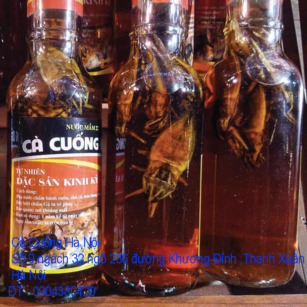 5 Bán lọ tinh dầu Cà Cuống thơm, Cà Cuống tự nhiên nguyên con , nước mắm ngâm Cà Cuống ở Hà Nội