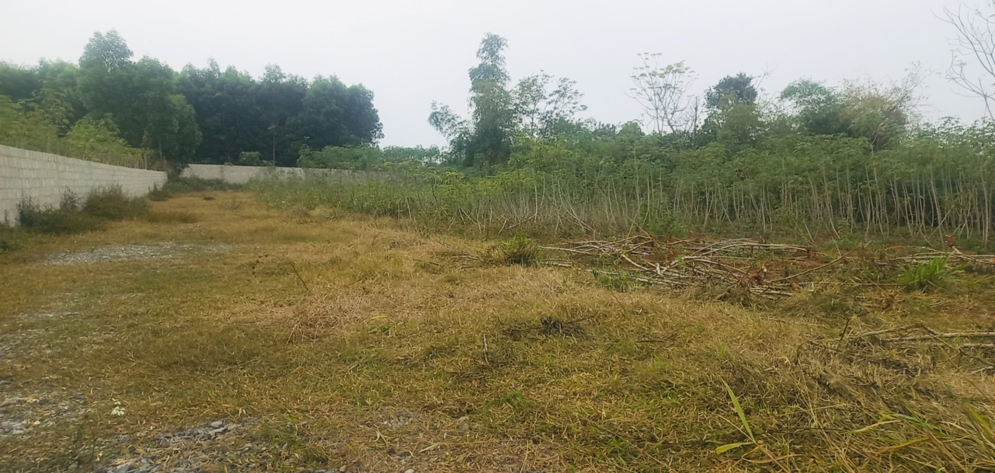 Cần bán lô đất tại phường quang tiến, tx thái hoà, nghệ an giá 400 triệu