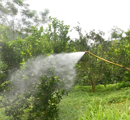 1 Siêu trải bề mặt tăng bám dính phân bón lá và thuốc trừ sâu Break-Thru S 240 từ Đức 1 Siêu trải bề mặt tăng bám dính phân bón lá và thuốc trừ sâu Break-Thru S 240 từ Đức