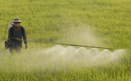 2 Siêu trải bề mặt tăng bám dính phân bón lá và thuốc trừ sâu Break-Thru S 240 từ Đức 2 Siêu trải bề mặt tăng bám dính phân bón lá và thuốc trừ sâu Break-Thru S 240 từ Đức