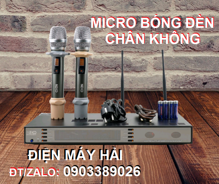 2 Micro bóng đèn chân không Neko MK800 sản phẩm âm thanh mới