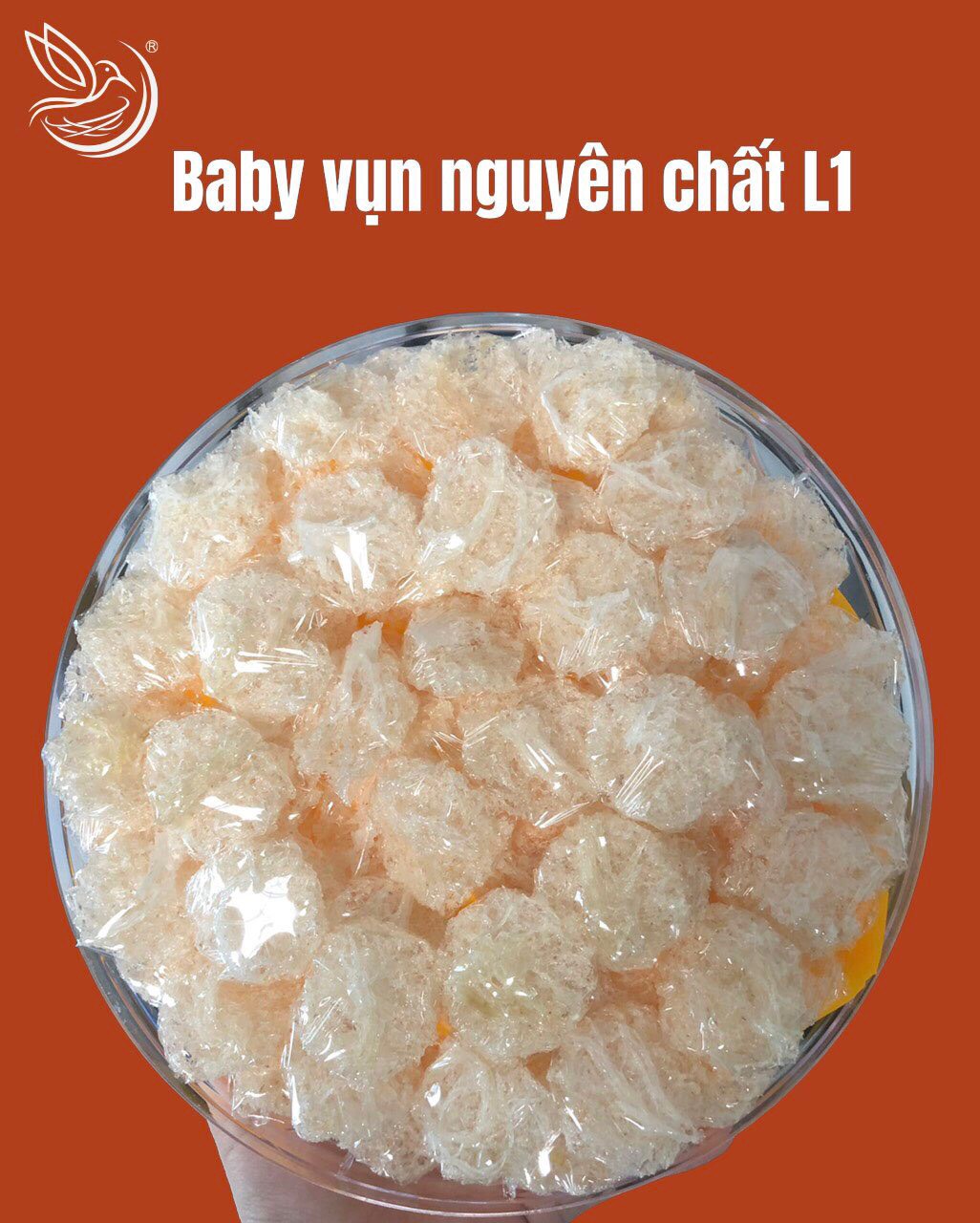 3 Công ty Yến Sào Thiên Thanh Nha Trang