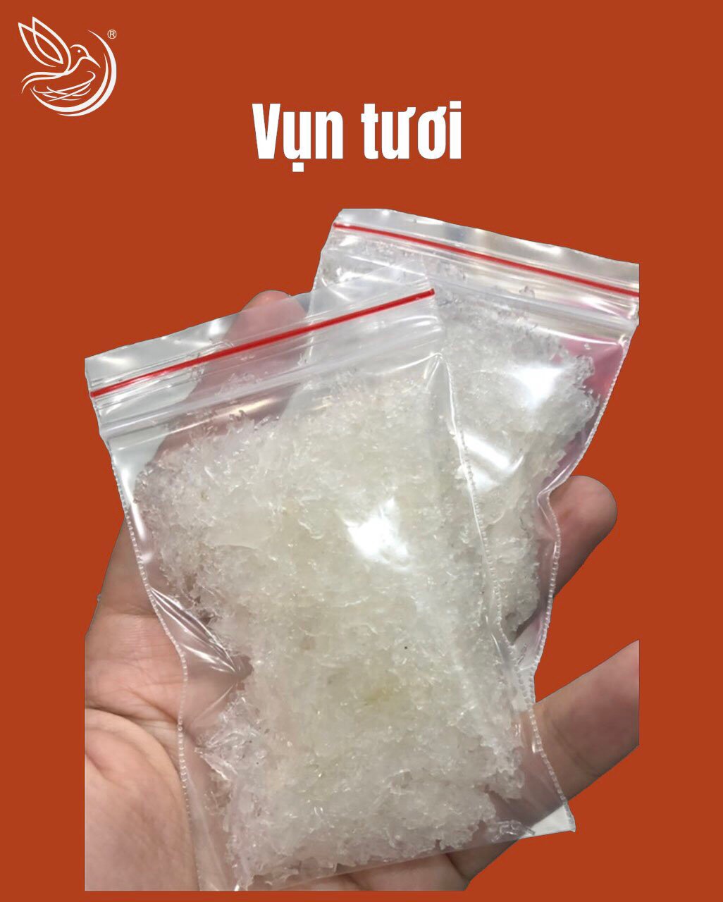 12 Công ty Yến Sào Thiên Thanh Nha Trang