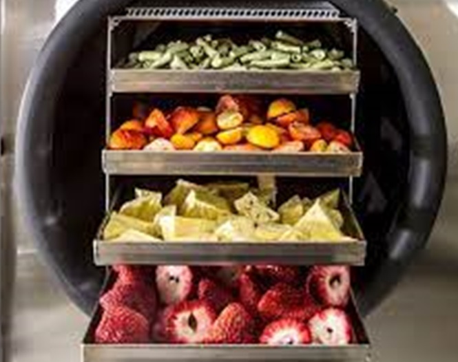 6 Dầu truyền nhiệt YF33-100 cho máy sấy thăng hoa 6 Dầu truyền nhiệt YF33-100 cho máy sấy thăng hoa