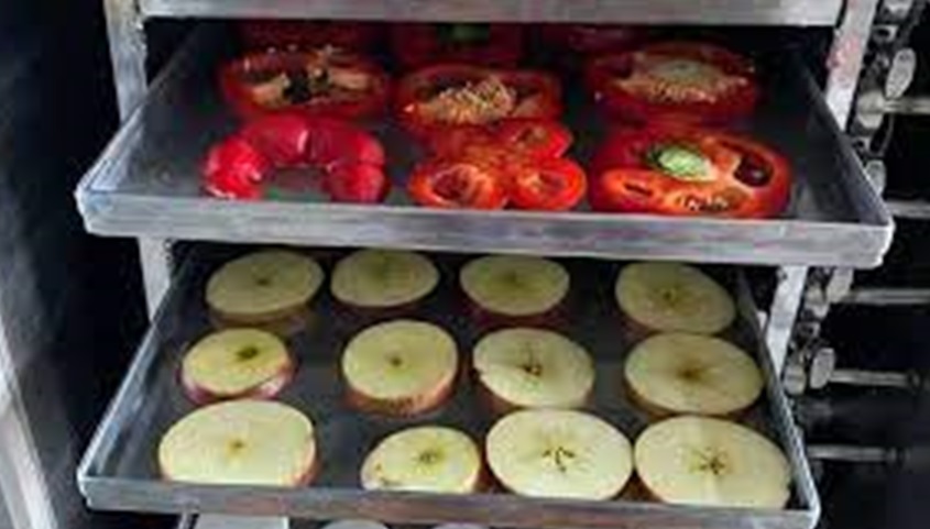 8 Dầu truyền nhiệt YF33-100 cho máy sấy thăng hoa 8 Dầu truyền nhiệt YF33-100 cho máy sấy thăng hoa