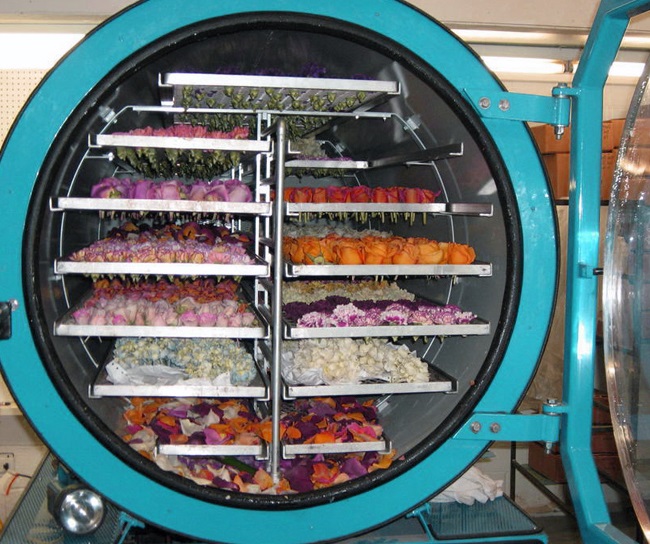 Dầu truyền nhiệt YF33-100 cho máy sấy thăng hoa Dầu truyền nhiệt YF33-100 cho máy sấy thăng hoa