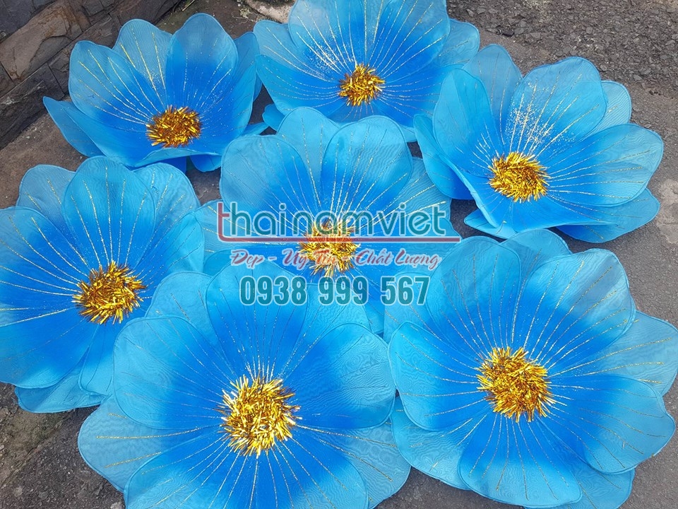 19 Cho thuê trang phục biểu diễn tân phú tphcm