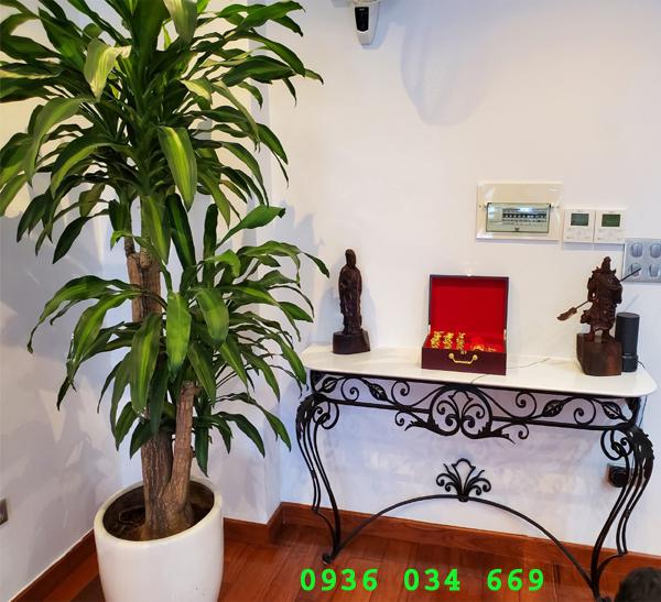 14 Bàn sắt, bàn sofa sắt, gia công bàn sắt