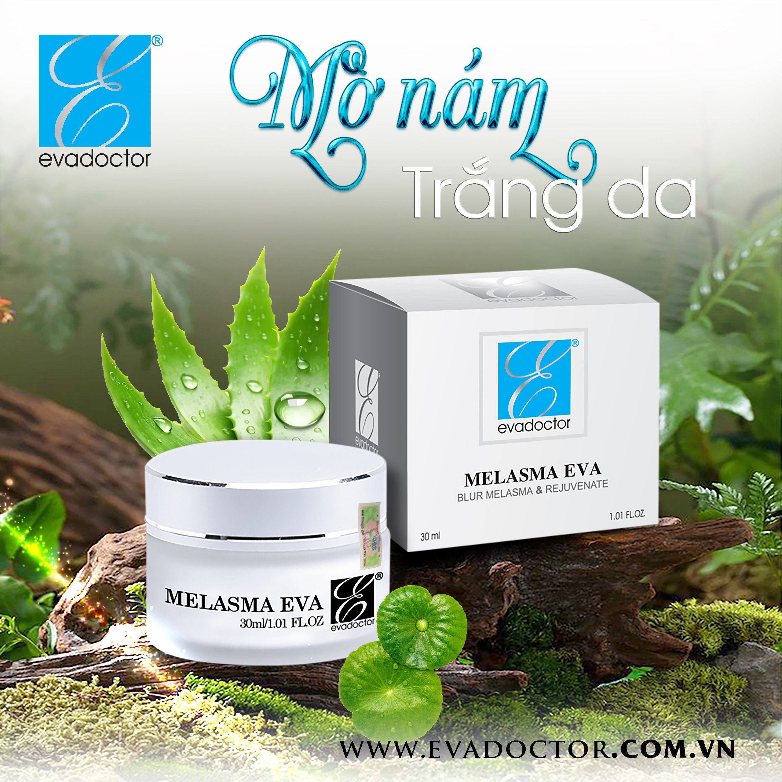 1 Kem trị Nám Melasma eva - Evadoctor 1 Kem trị Nám Melasma eva - Evadoctor