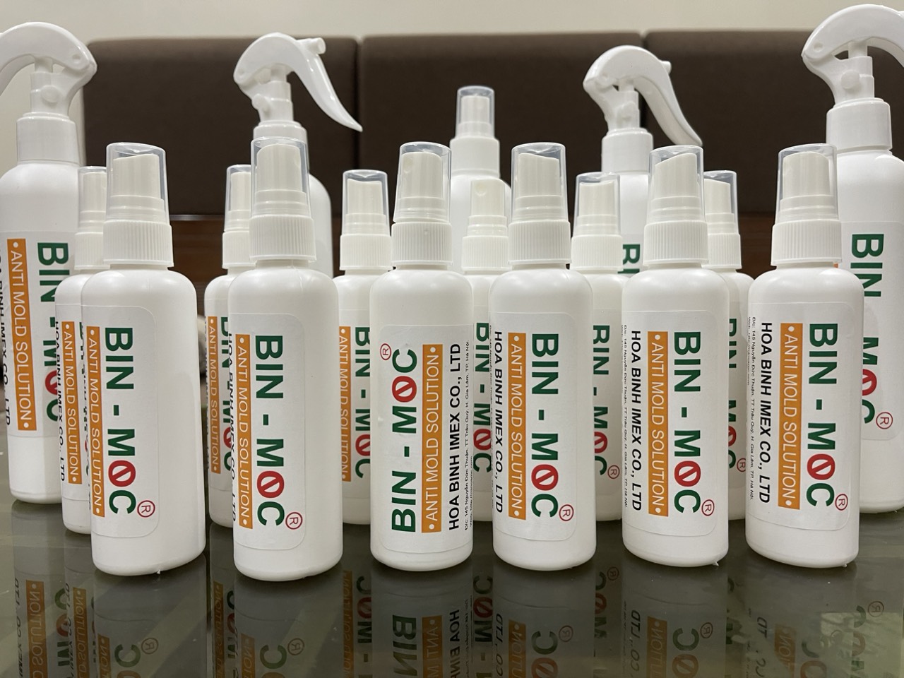 3 tác hại khi nấm mốc tồn tại trong nhà ở 3 tác hại khi nấm mốc tồn tại trong nhà ở