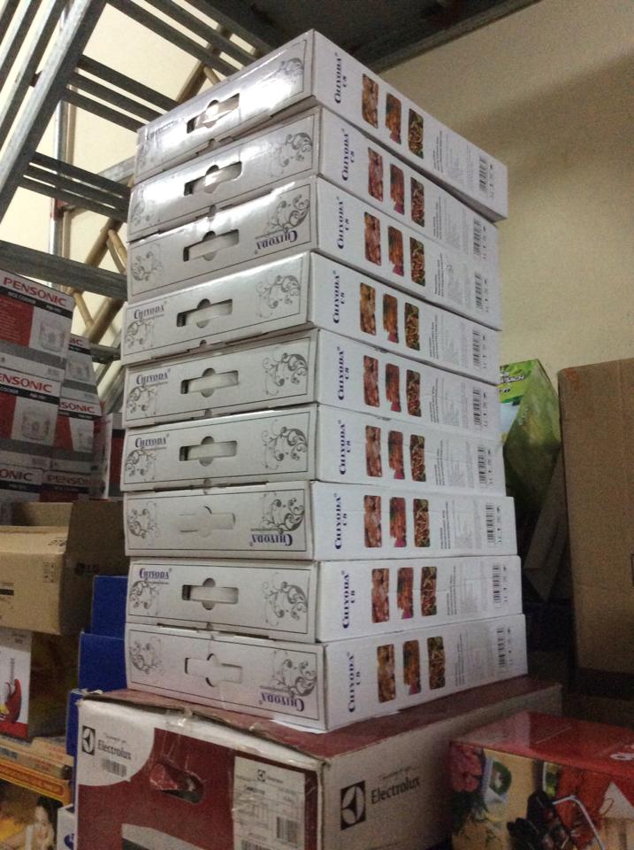 1 Bếp từ, bếp hồng ngoại Bosch, Electrolux, Chiyoda...xuất xứ Nhật Bản và Đức