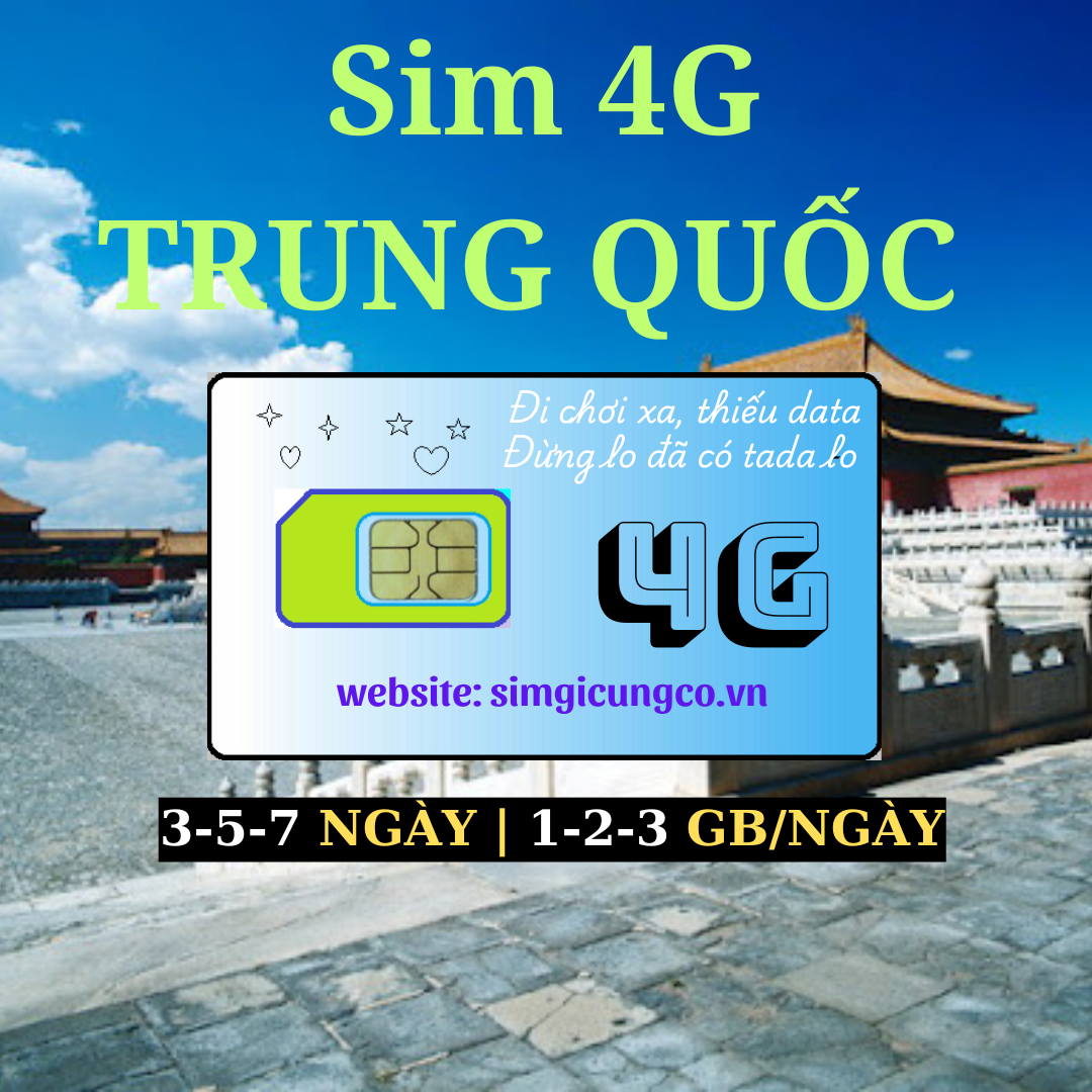 11 SIM du lịch, Wifi quốc tế, Máy phiên dịch.