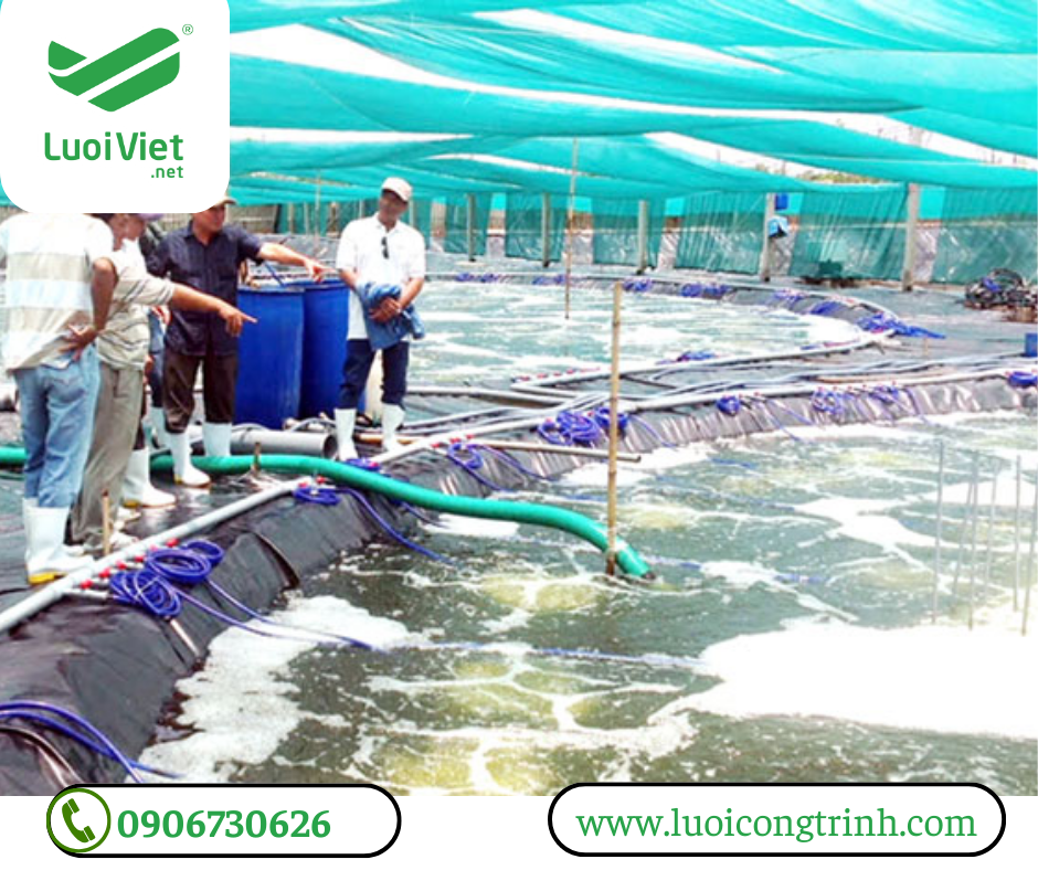 1 Lưới che nắng, nông nghiệp   hàng việt nam chất lượng cao 1 Lưới che nắng, nông nghiệp   hàng việt nam chất lượng cao