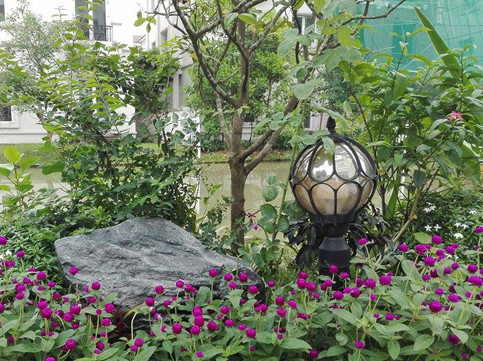 DSP647 Loa giả đá