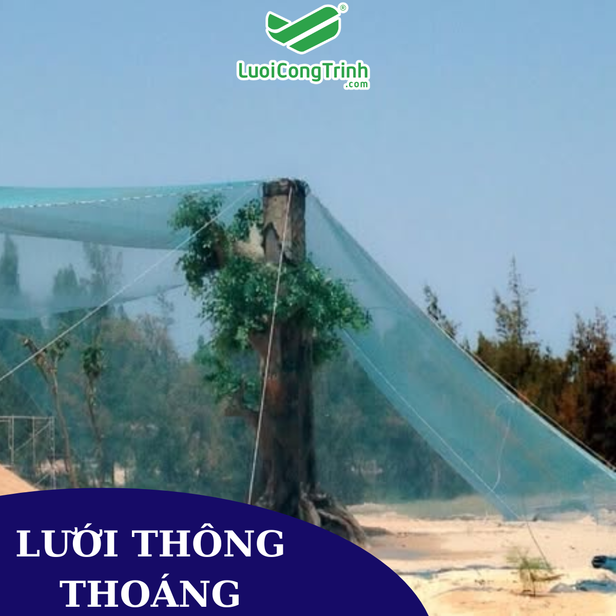 5 Lưới chắn chim   giải pháp bảo vệ hiệu quả