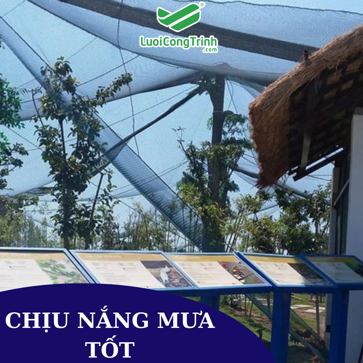 6 Lưới chắn chim   giải pháp bảo vệ hiệu quả