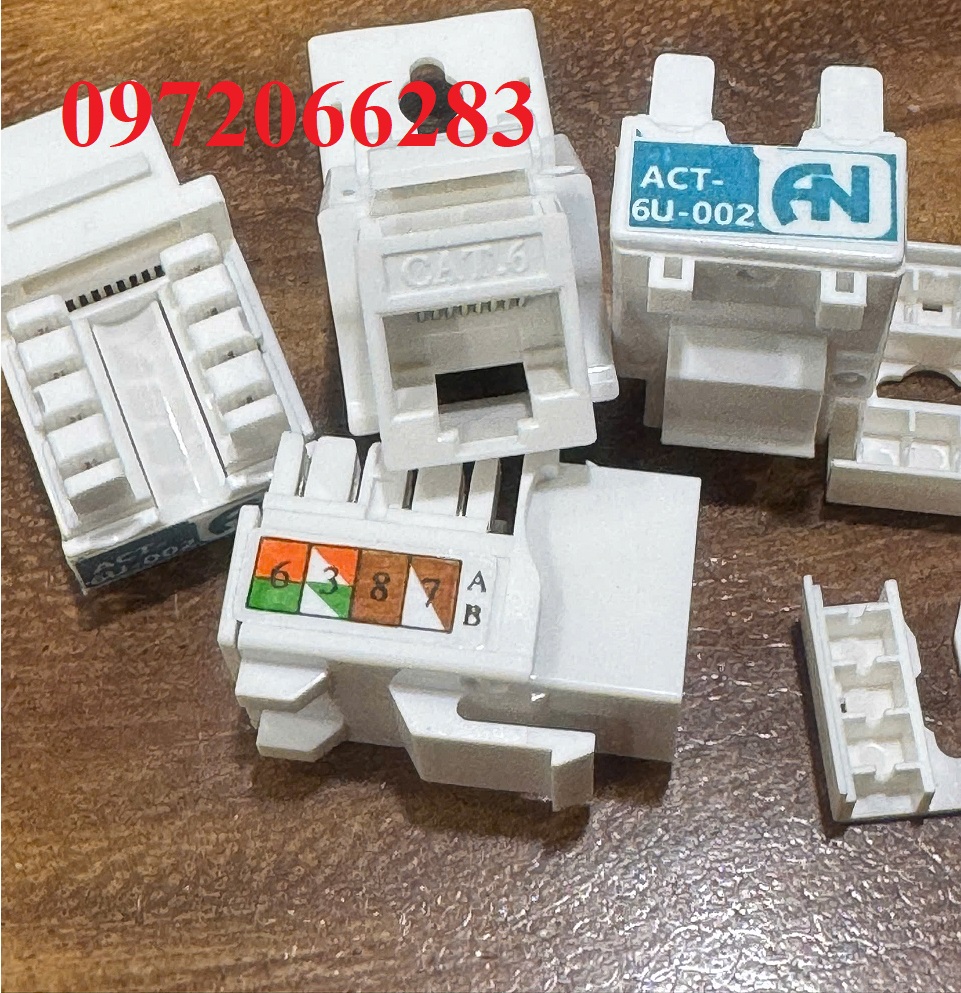 2 Nhân mạng RJ45 CAT6 chuẩn ngang hiệu Ancomteck, mã ACT-6U-002 2 Nhân mạng RJ45 CAT6 chuẩn ngang hiệu Ancomteck, mã ACT-6U-002