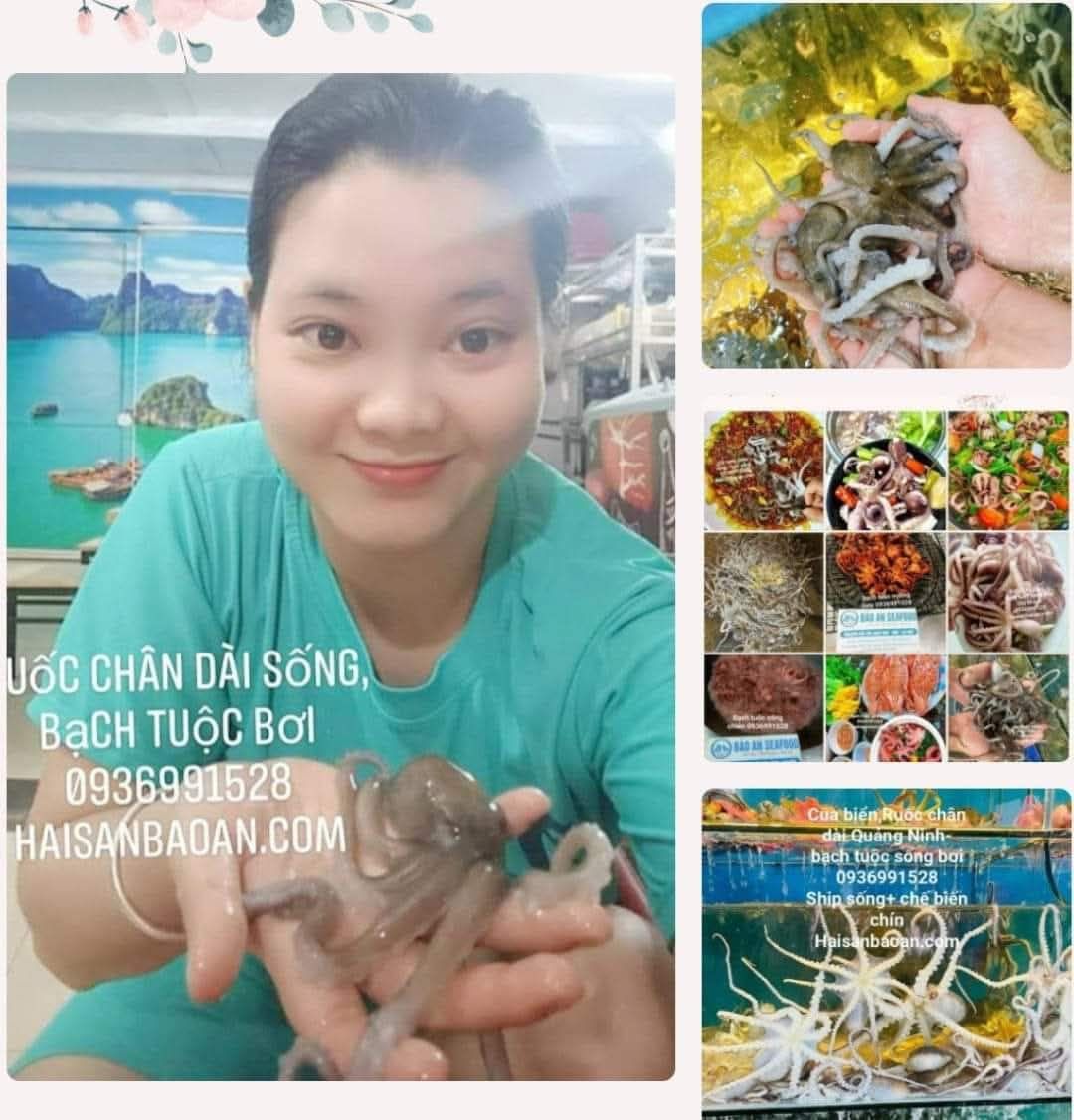 Cần bán bạch tuộc vip ngon giá tốt hà nội Cần bán bạch tuộc vip ngon giá tốt hà nội