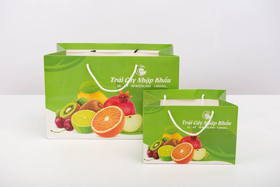 1 Nơi in túi giấy đựng hoa quả chất lượng giá tốt tại Hà Nội 1 Nơi in túi giấy đựng hoa quả chất lượng giá tốt tại Hà Nội