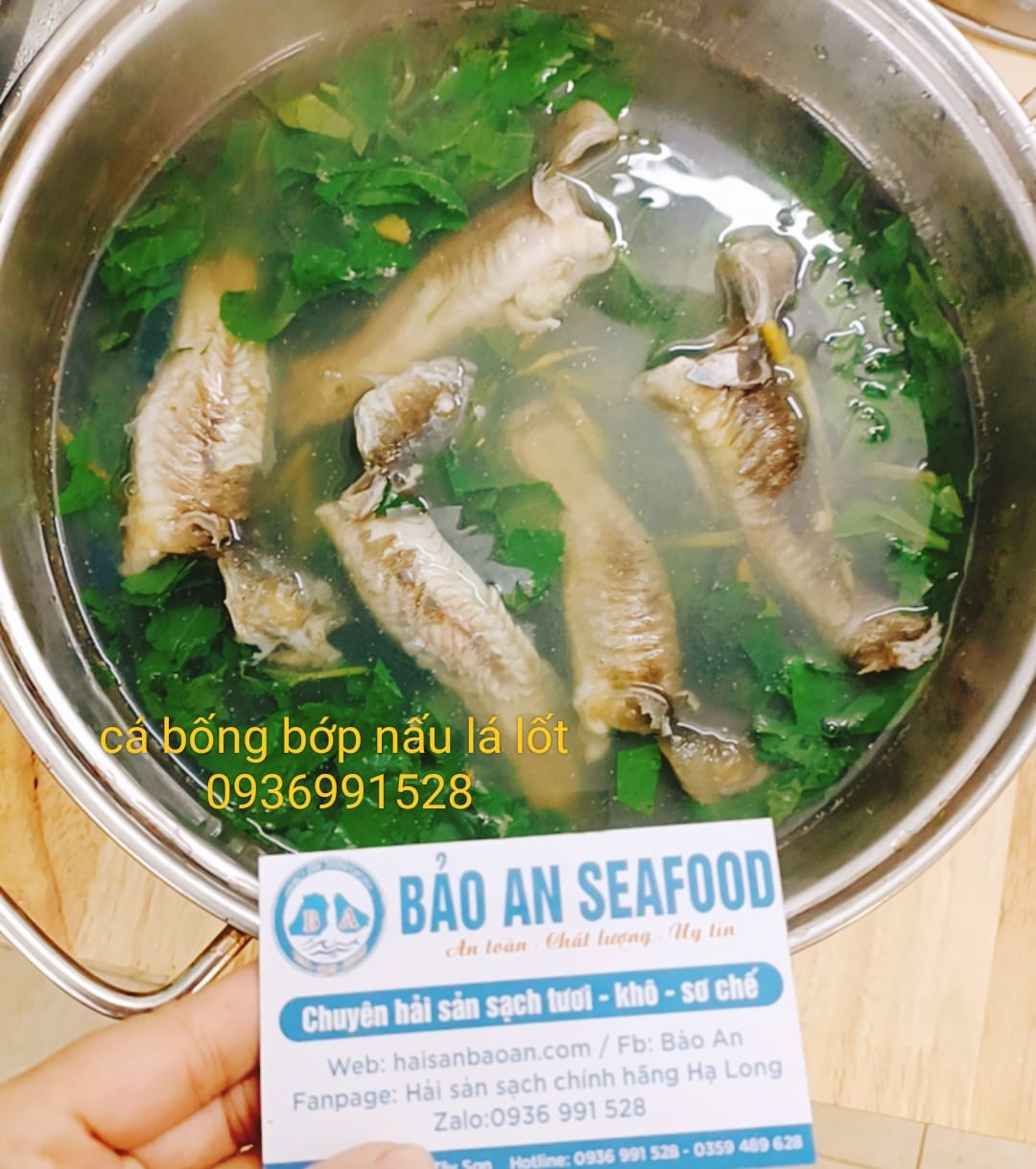 Báo giá cá bống bớp tuyển chọn Báo giá cá bống bớp tuyển chọn