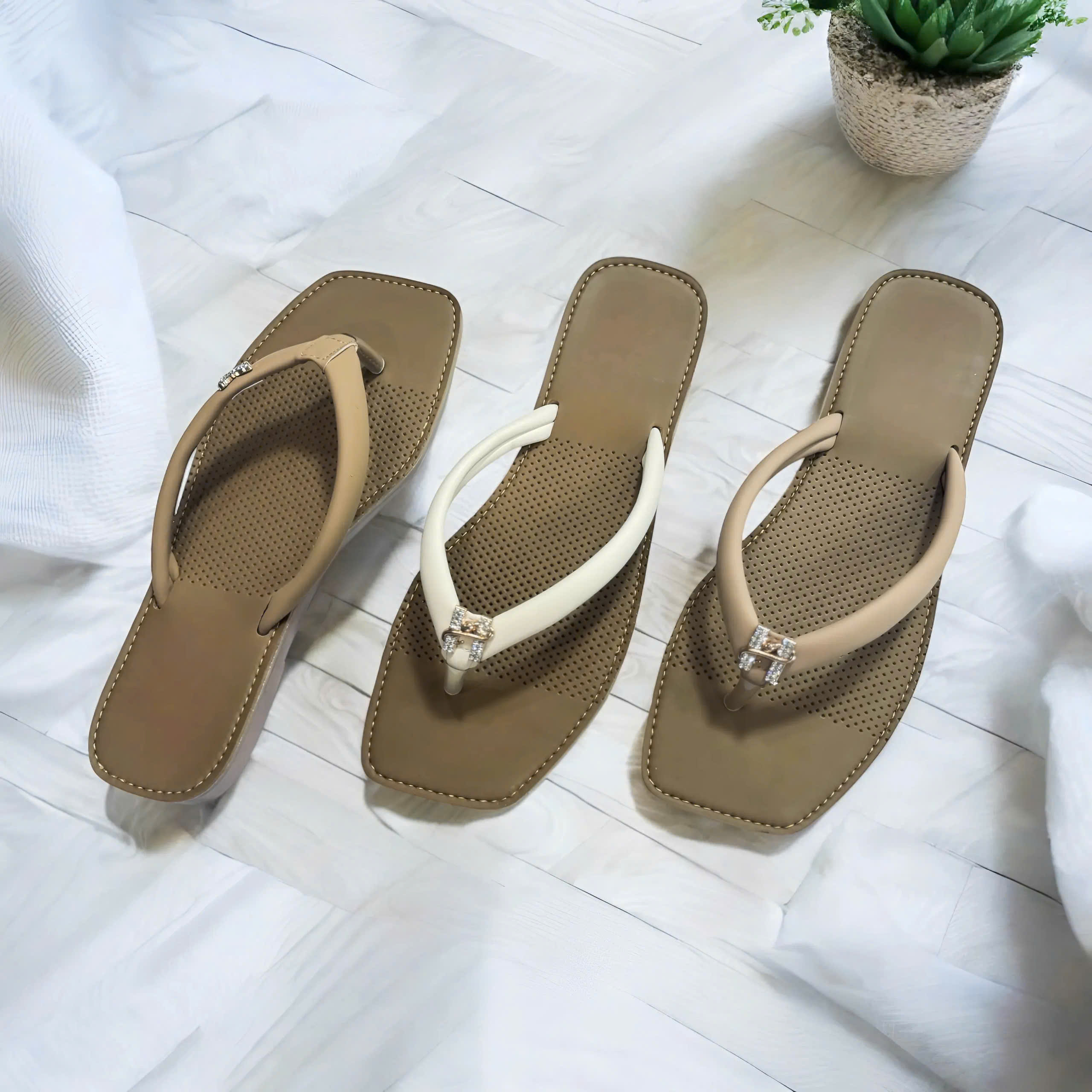 1 Công Ty Quốc Định Tuyển Sỉ 1 Công Ty Quốc Định Tuyển Sỉ