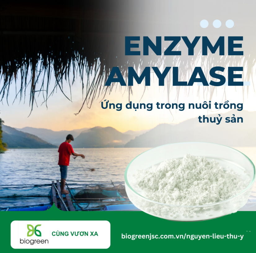 Bộ 3 enzyme tăng khả năng hấp thu dinh dưỡng, cải tạo môi trường nuôi trồng thủy hải sản