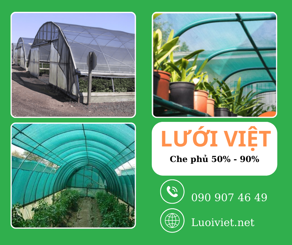 5 Lưới Việt: Giá cả cạnh tranh   Độ bền cao   Phù hợp với mọi nhu cầu 5 Lưới Việt: Giá cả cạnh tranh   Độ bền cao   Phù hợp với mọi nhu cầu