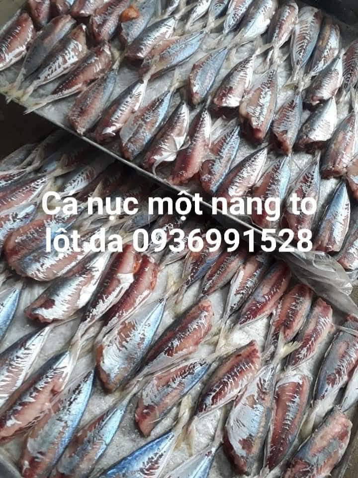 Cần bán cá nục 1 nắng tuyển chọn Cần bán cá nục 1 nắng tuyển chọn
