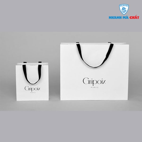 1 Những ý tưởng thiết kế in túi shop quần áo đang là xu hướng hiện nay