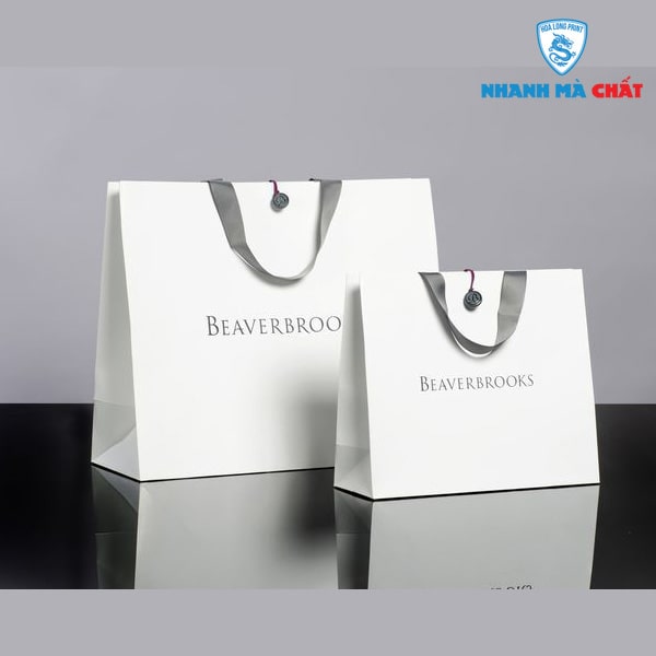 Những ý tưởng thiết kế in túi shop quần áo đang là xu hướng hiện nay