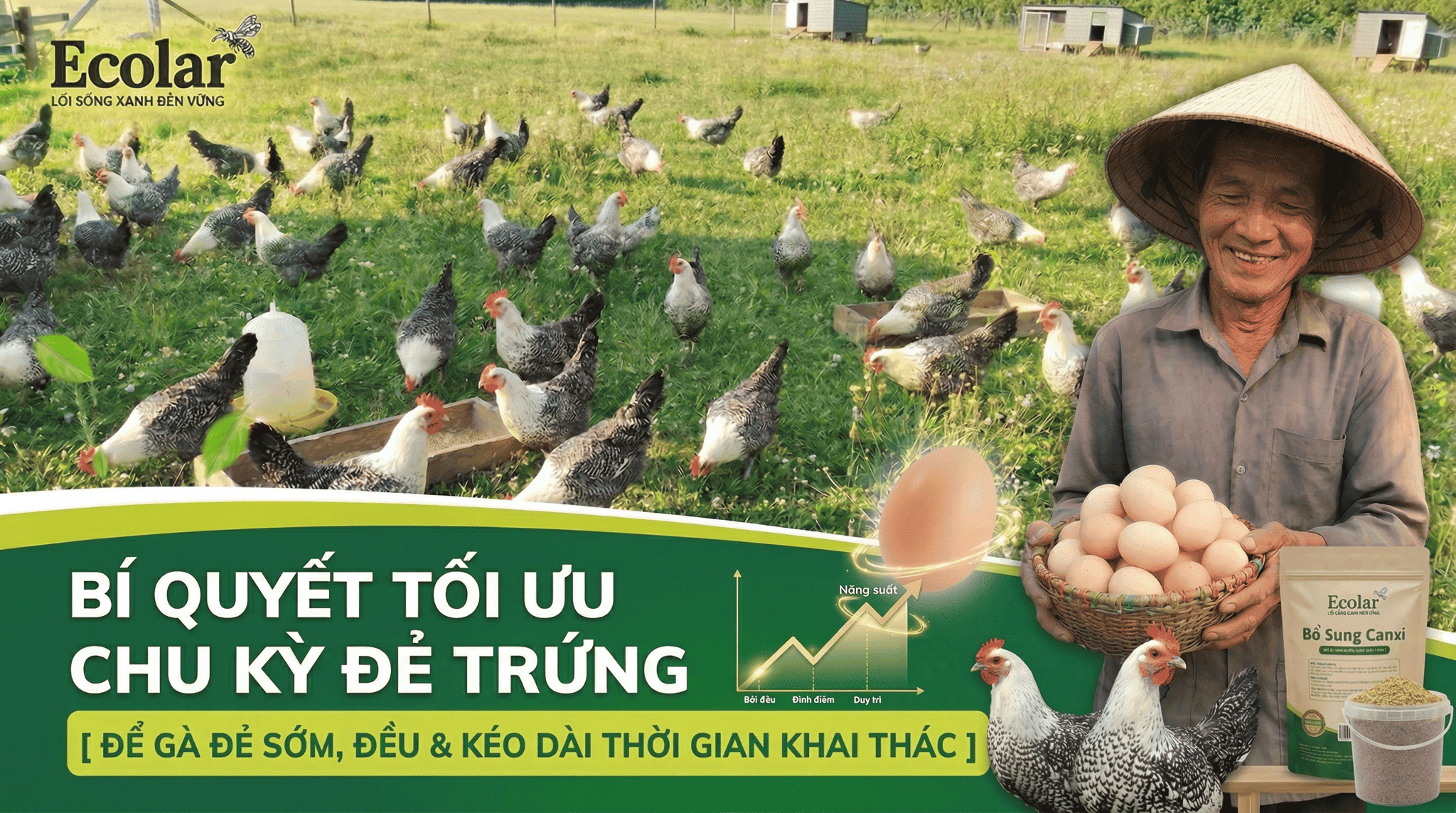 1 Tìm Hiểu Quá Trình Sinh Trưởng: Gà Ai Cập Bao Lâu Mới Bắt Đầu Sinh Sản