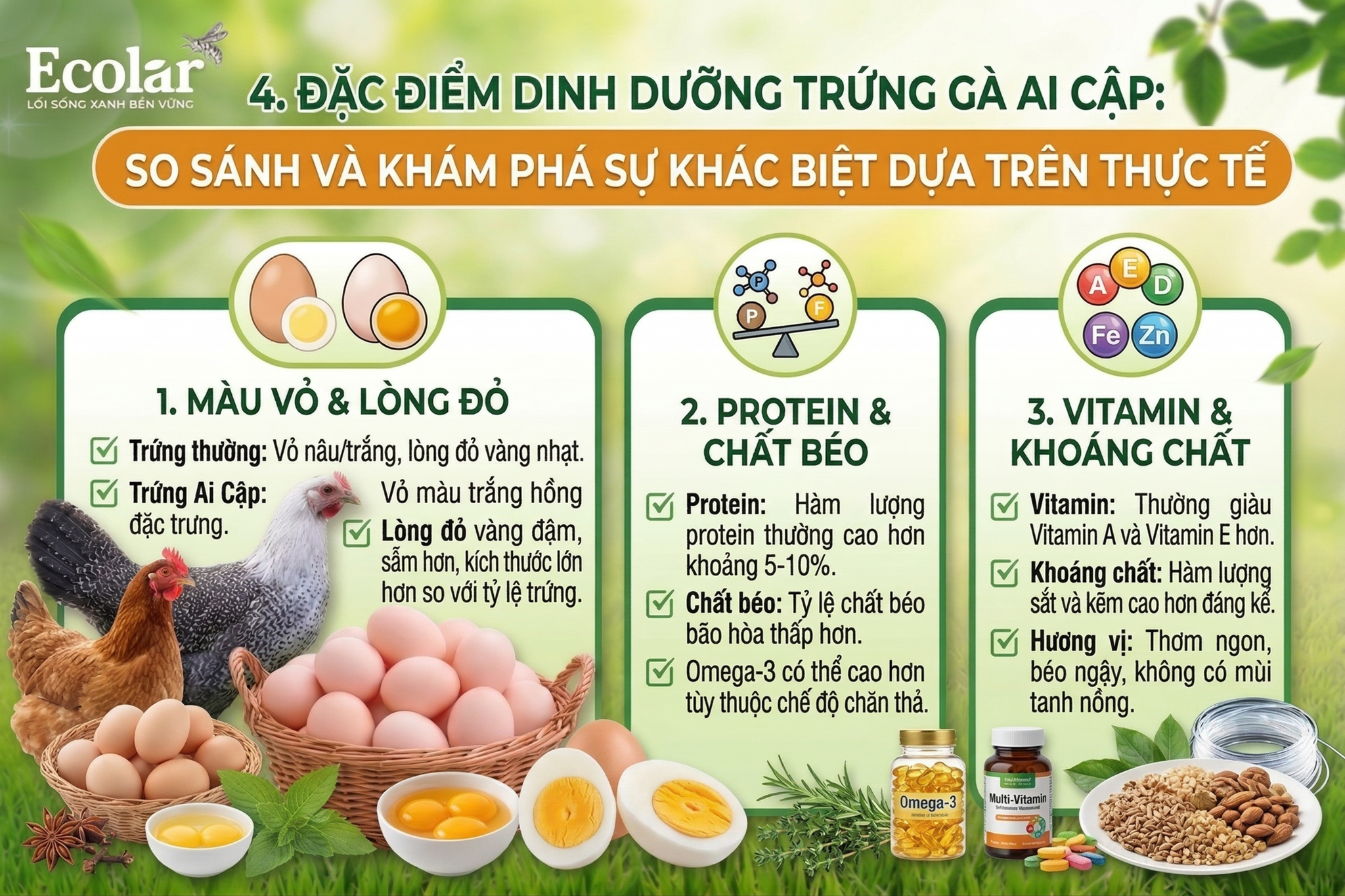 2 Toàn Tập Về Trứng gà Ai Cập: Đánh Giá Giá Trị Dinh Dưỡng Và Hướng Dẫn Mua Sắm Thông Thái