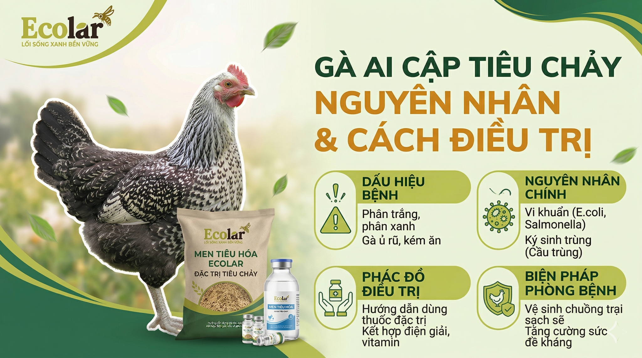 3 Bí Quyết Cấp Cứu gà Ai Cập Bị Rối Loạn Tiêu Hóa Dành Cho Người Khởi Nghiệp