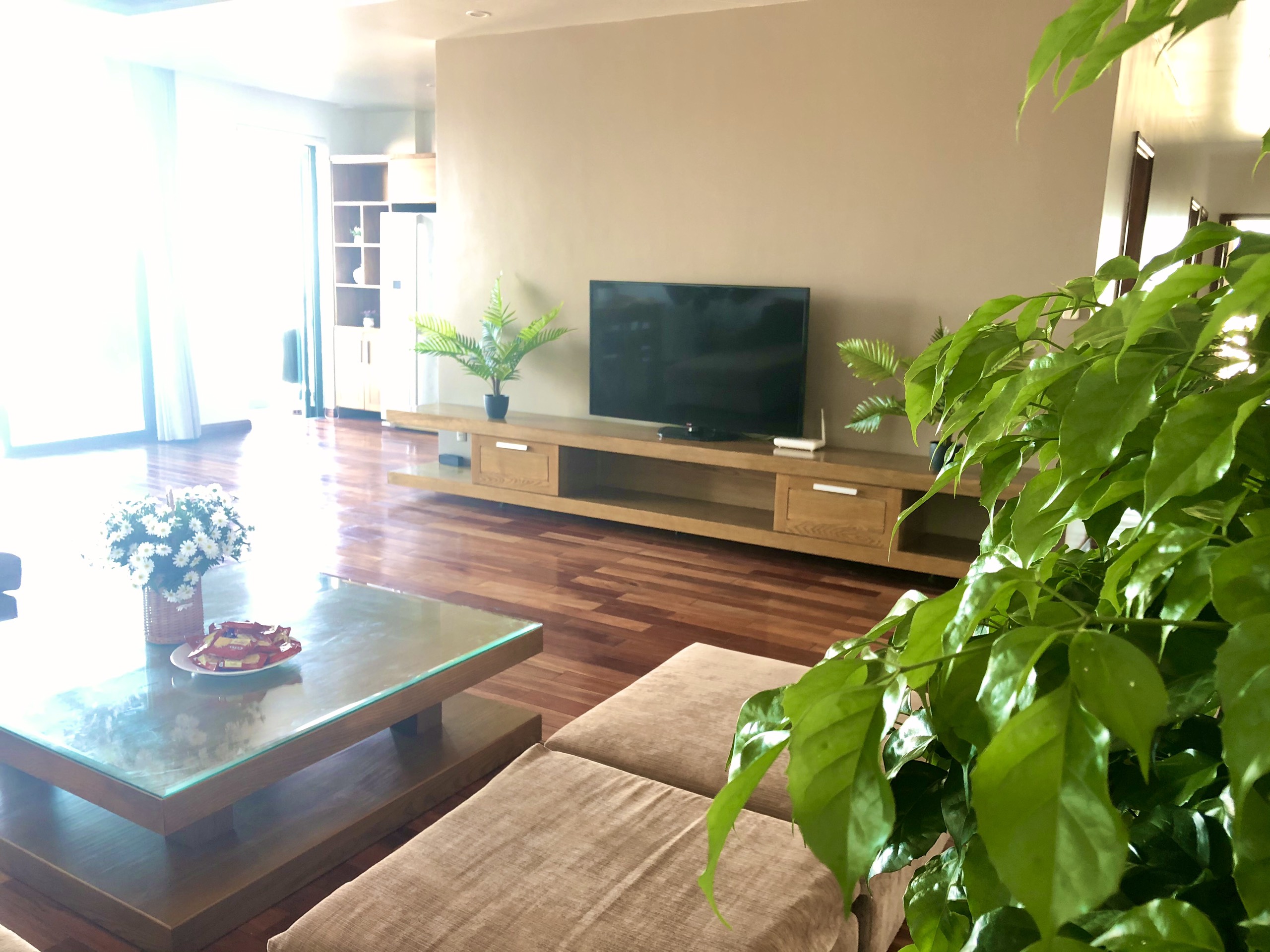 1 Cho thuê căn hộ cao cấp tại TD PLAZA