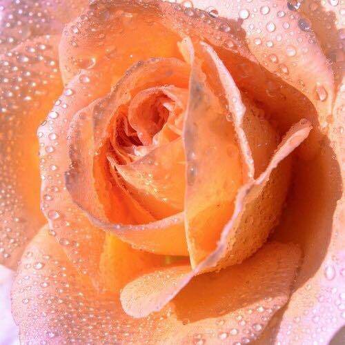 3 Giấy dán tường Korea tại Hải Phòng