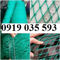 1 Lưới chắn container 20  40  lưới bao hàng hóa lưới chắn container sợi dù an toàn giá tốt 1 Lưới chắn container 20  40  lưới bao hàng hóa lưới chắn container sợi dù an toàn giá tốt