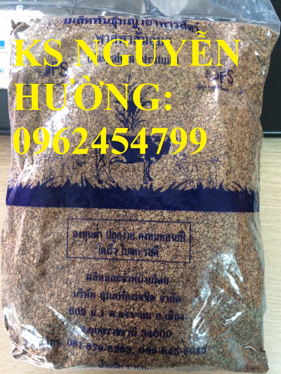 Cung cấp giống cỏ Ubon Paspalum, cỏ chịu ngập, cỏ chịu nước, hạt giống cỏ chịu ngập, giao cây toàn Cung cấp giống cỏ Ubon Paspalum, cỏ chịu ngập, cỏ chịu nước, hạt giống cỏ chịu ngập, giao cây toàn