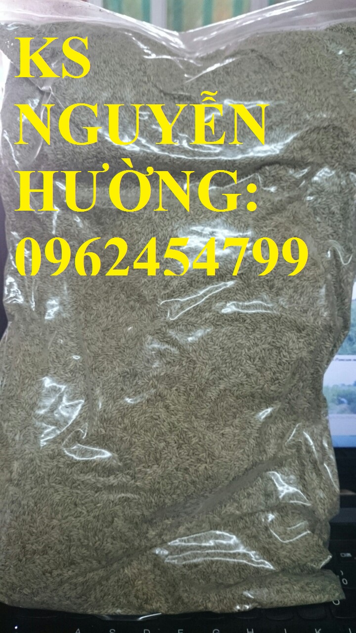 8 Cung cấp cỏ sả, cỏ ghine, cỏ chăn nuôi, hạt giống nhập khẩu cho năng suất cao, giao hàng toàn quốc 8 Cung cấp cỏ sả, cỏ ghine, cỏ chăn nuôi, hạt giống nhập khẩu cho năng suất cao, giao hàng toàn quốc