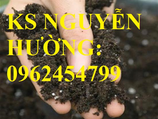 Cung cấp phân hữu cơ vi sinh và quy trình ủ từ phân chuồng, xác bã thực vật, giao hàng toàn quốc Cung cấp phân hữu cơ vi sinh và quy trình ủ từ phân chuồng, xác bã thực vật, giao hàng toàn quốc