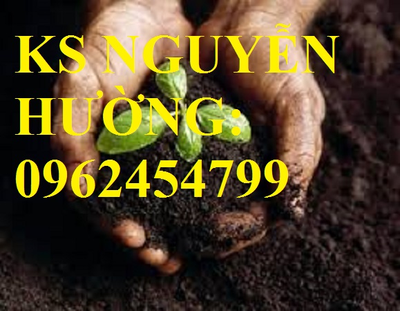 1 Cung cấp phân hữu cơ vi sinh và quy trình ủ từ phân chuồng, xác bã thực vật, giao hàng toàn quốc 1 Cung cấp phân hữu cơ vi sinh và quy trình ủ từ phân chuồng, xác bã thực vật, giao hàng toàn quốc