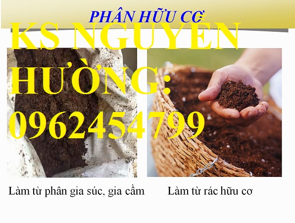 2 Cung cấp phân hữu cơ vi sinh và quy trình ủ từ phân chuồng, xác bã thực vật, giao hàng toàn quốc 2 Cung cấp phân hữu cơ vi sinh và quy trình ủ từ phân chuồng, xác bã thực vật, giao hàng toàn quốc