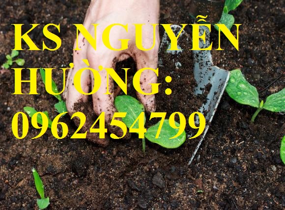 4 Cung cấp phân hữu cơ vi sinh và quy trình ủ từ phân chuồng, xác bã thực vật, giao hàng toàn quốc 4 Cung cấp phân hữu cơ vi sinh và quy trình ủ từ phân chuồng, xác bã thực vật, giao hàng toàn quốc
