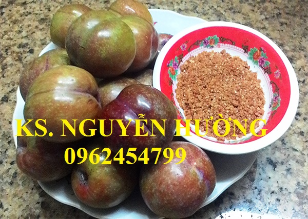 3 Cung cấp cây giống mận hậu, mận tam hoa, mận cho năng suất cao, giao cây toàn quốc 3 Cung cấp cây giống mận hậu, mận tam hoa, mận cho năng suất cao, giao cây toàn quốc