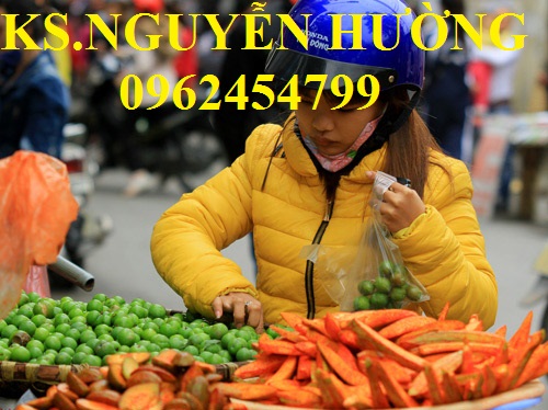 8 Cung cấp cây giống mận hậu, mận tam hoa, mận cho năng suất cao, giao cây toàn quốc 8 Cung cấp cây giống mận hậu, mận tam hoa, mận cho năng suất cao, giao cây toàn quốc