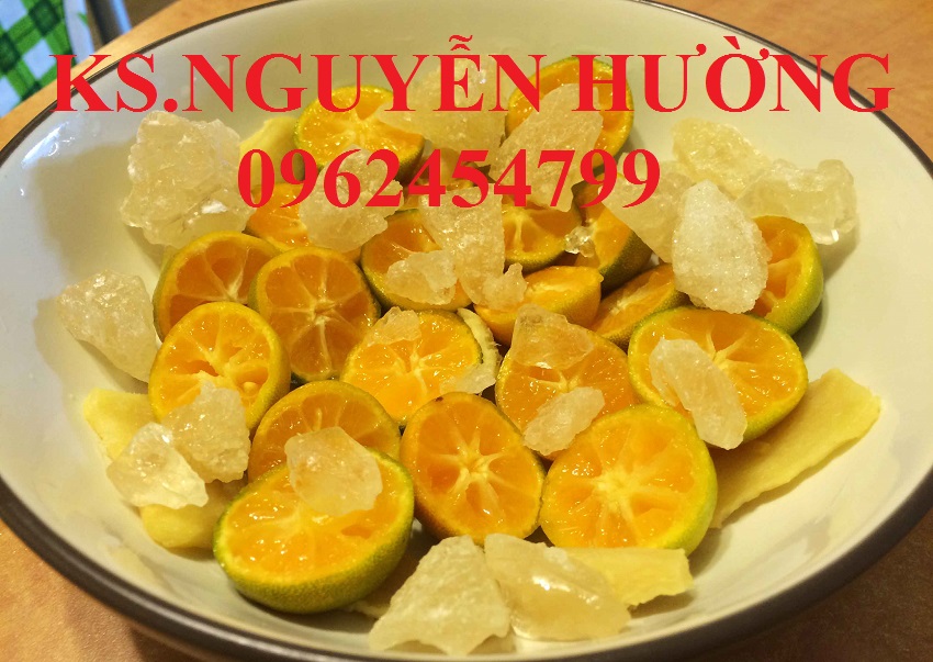 4 Cung cấp cây giống quất chua, quất ngọt, kỹ thuật trồng cây quất, giao cây toàn quốc