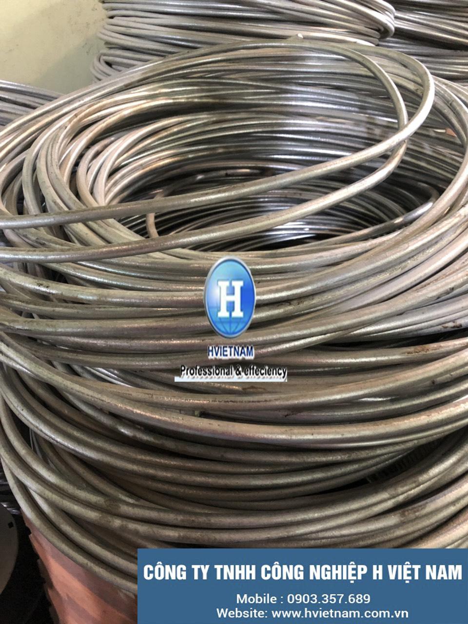 2 Dây kẽm nguyên chất 2 Dây kẽm nguyên chất