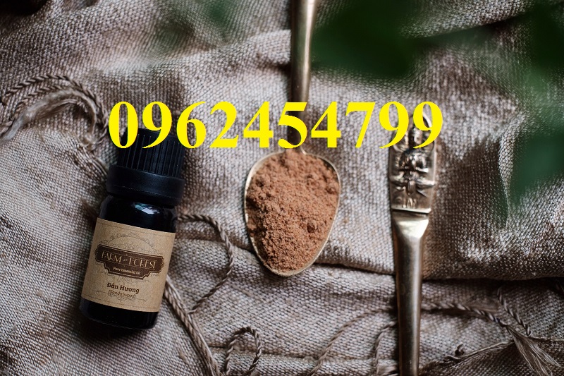 4 Chuyên cung cấp cây giống đàn hương, giống đàn hương đỏ, cây đàn hương trắng, đàn hương ấn độ chuẩn